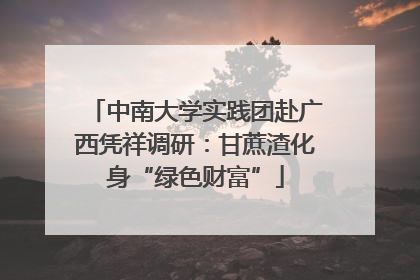 中南大学实践团赴广西凭祥调研：甘蔗渣化身“绿色财富”