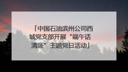 中国石油滨州公司西城党支部开展“端午话清廉”主题党日活动