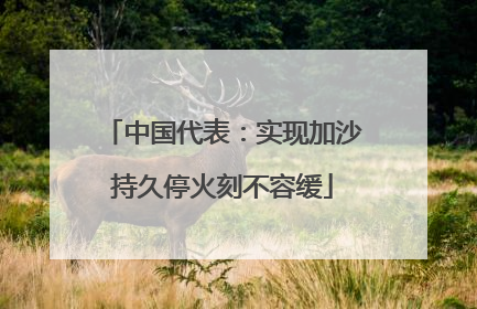 中国代表：实现加沙持久停火刻不容缓