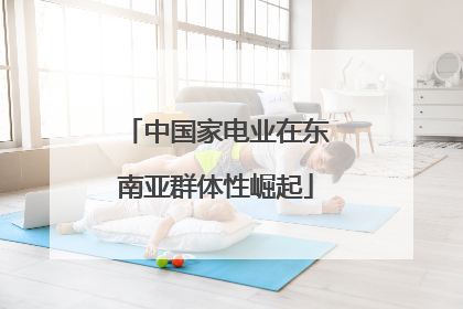 中国家电业在东南亚群体性崛起