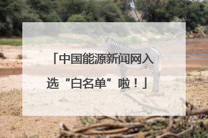 中国能源新闻网入选“白名单”啦！