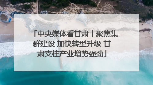 中央媒体看甘肃丨聚焦集群建设 加快转型升级 甘肃支柱产业增势强劲