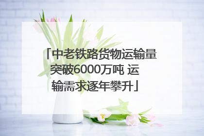 中老铁路货物运输量突破6000万吨 运输需求逐年攀升