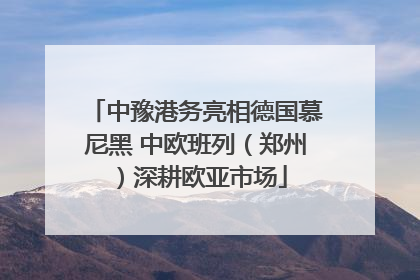 中豫港务亮相德国慕尼黑 中欧班列（郑州）深耕欧亚市场