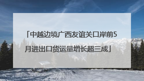 中越边境广西友谊关口岸前5月进出口货运量增长超三成
