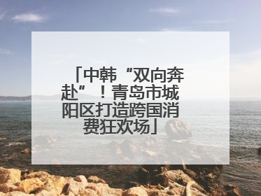 中韩“双向奔赴”！青岛市城阳区打造跨国消费狂欢场