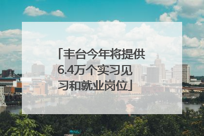 丰台今年将提供6.4万个实习见习和就业岗位