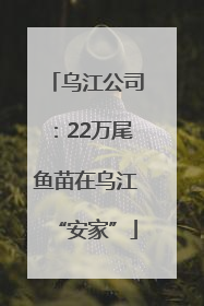 乌江公司：22万尾鱼苗在乌江“安家”