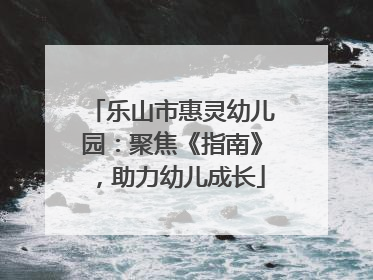 乐山市惠灵幼儿园：聚焦《指南》，助力幼儿成长