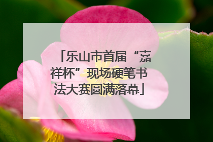 乐山市首届“嘉祥杯”现场硬笔书法大赛圆满落幕