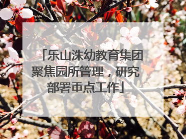 乐山洙幼教育集团聚焦园所管理，研究部署重点工作