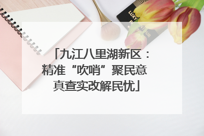 九江八里湖新区：精准“吹哨”聚民意 真查实改解民忧