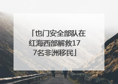 也门安全部队在红海西部解救177名非洲移民