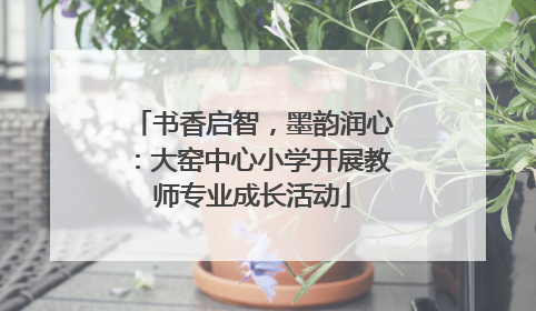 书香启智，墨韵润心：大窑中心小学开展教师专业成长活动