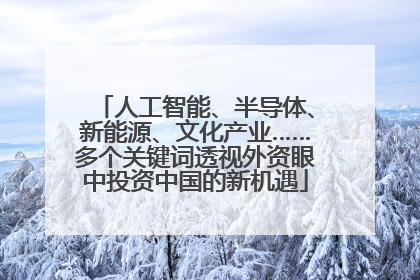 人工智能、半导体、新能源、文化产业……多个关键词透视外资眼中投资中国的新机遇