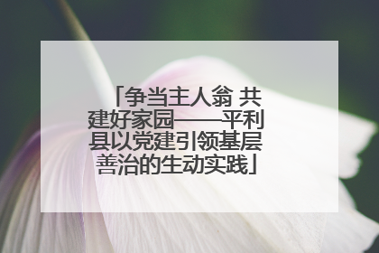 争当主人翁 共建好家园——平利县以党建引领基层善治的生动实践