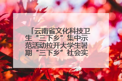 云南省文化科技卫生“三下乡”集中示范活动拉开大学生暑期“三下乡”社会实践活动序幕