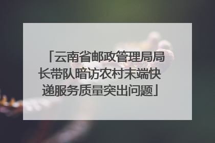 云南省邮政管理局局长带队暗访农村末端快递服务质量突出问题