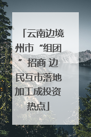 云南边境州市“组团”招商 边民互市落地加工成投资热点