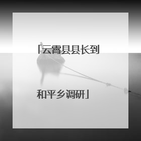 云霄县县长到和平乡调研