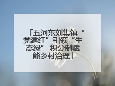五河东刘集镇“党建红”引领“生态绿” 积分制赋能乡村治理