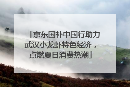 京东国补中国行助力武汉小龙虾特色经济，点燃夏日消费热潮