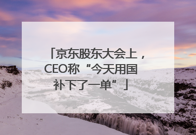 京东股东大会上，CEO称“今天用国补下了一单”