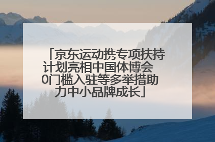 京东运动携专项扶持计划亮相中国体博会 0门槛入驻等多举措助力中小品牌成长