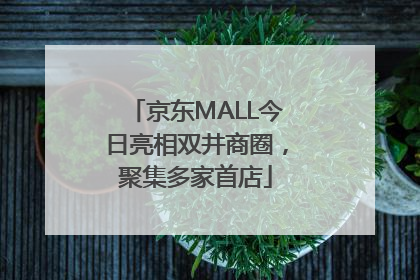 京东MALL今日亮相双井商圈，聚集多家首店