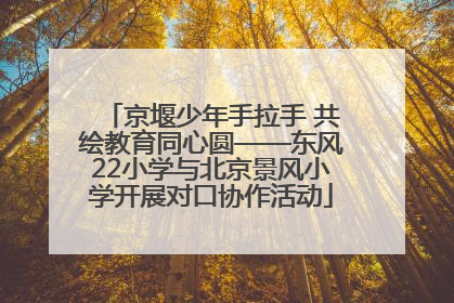 京堰少年手拉手 共绘教育同心圆——东风22小学与北京景风小学开展对口协作活动
