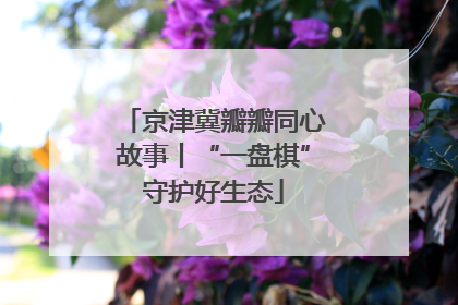 京津冀瓣瓣同心故事丨“一盘棋”守护好生态