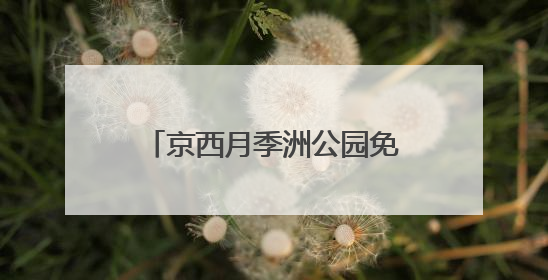京西月季洲公园免费开放，市民假期驱车前来赏花打卡