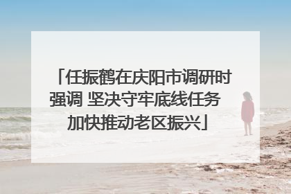 任振鹤在庆阳市调研时强调 坚决守牢底线任务 加快推动老区振兴