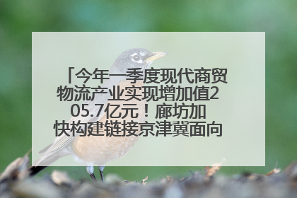 今年一季度现代商贸物流产业实现增加值205.7亿元！廊坊加快构建链接京津冀面向全世界的物流通道