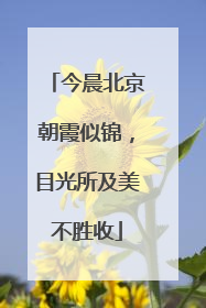 今晨北京朝霞似锦，目光所及美不胜收