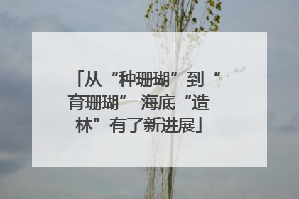 从“种珊瑚”到“育珊瑚” 海底“造林”有了新进展