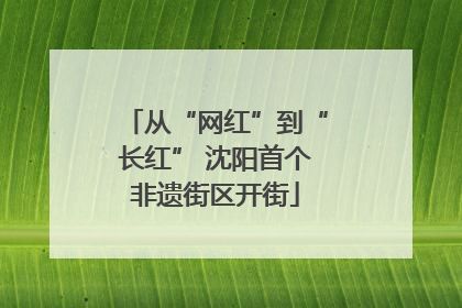 从“网红”到“长红” 沈阳首个非遗街区开街