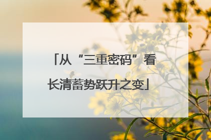 从“三重密码”看长清蓄势跃升之变