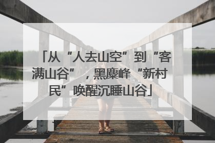 从“人去山空”到“客满山谷”，黑麋峰“新村民”唤醒沉睡山谷