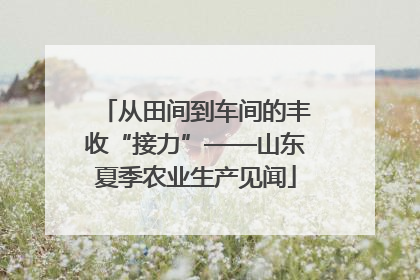 从田间到车间的丰收“接力”——山东夏季农业生产见闻