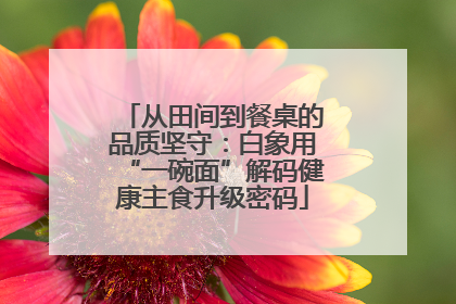 从田间到餐桌的品质坚守：白象用“一碗面”解码健康主食升级密码