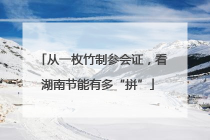 从一枚竹制参会证，看湖南节能有多“拼”