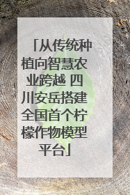 从传统种植向智慧农业跨越 四川安岳搭建全国首个柠檬作物模型平台