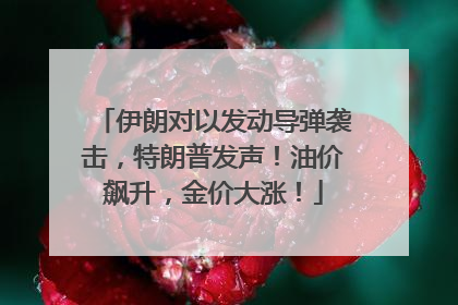 伊朗对以发动导弹袭击，特朗普发声！油价飙升，金价大涨！