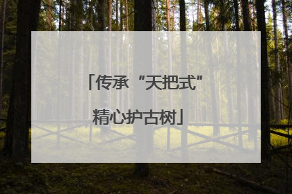传承“天把式” 精心护古树