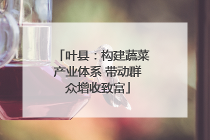 叶县：构建蔬菜产业体系 带动群众增收致富