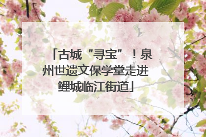 古城“寻宝”！泉州世遗文保学堂走进鲤城临江街道