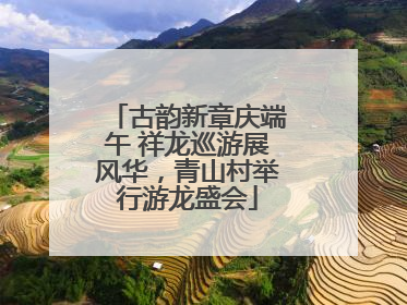 古韵新章庆端午 祥龙巡游展风华，青山村举行游龙盛会
