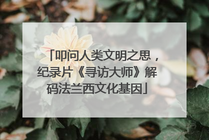 叩问人类文明之思，纪录片《寻访大师》解码法兰西文化基因