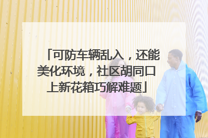 可防车辆乱入，还能美化环境，社区胡同口上新花箱巧解难题